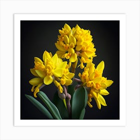 Yellow Daffodils 1 Art Print