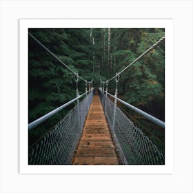 Suspension Bridge Art Print