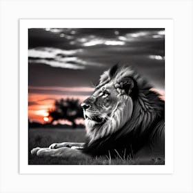 Sunset Lion Art Print