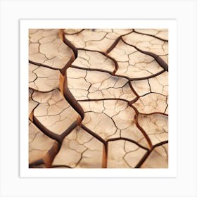 Cracked Dry Land Art Print