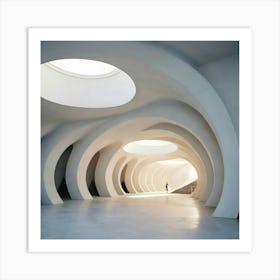 Santa Cruz Museum Art Print