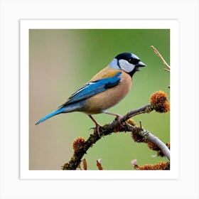 Blue Tit 86 Art Print