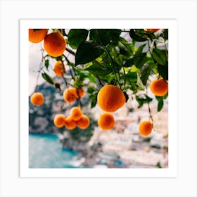 Amalfi Coast Oranges Art Print
