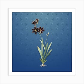 Vintage Ixia Grandiflora Botanical on Bahama Blue Pattern n.2421 Art Print