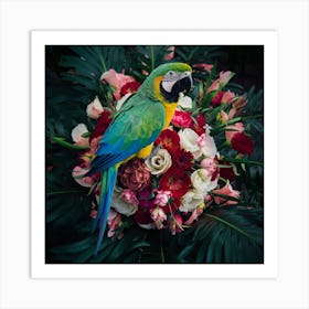 Parrot 1 Art Print