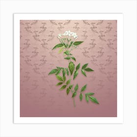 Vintage Jasmin Officinale Flower Botanical on Dusty Pink Pattern Art Print