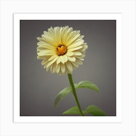 Beautiful Flower Art Print