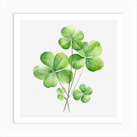 Four Leaf Clover 19 Art Print