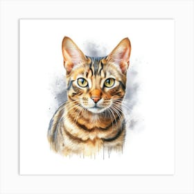 Toyger Cat Portrait 3 Art Print