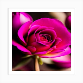 Pink Rose Art Print