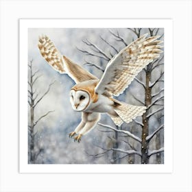 Barn Owl In Flight Art Print