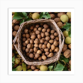 Walnuts In A Basket 1 Art Print