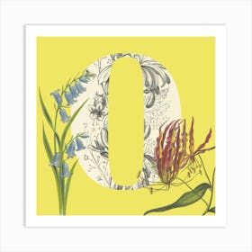 Botanical O Art Print