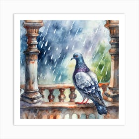 Pigeon In The Rain Art Print