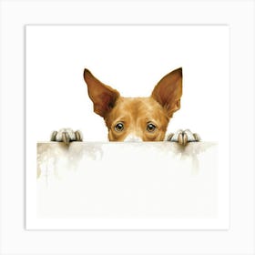 Chihuahua 25 Art Print