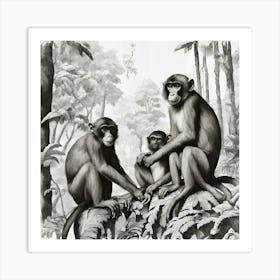 Monkeys In The Jungle Art Print