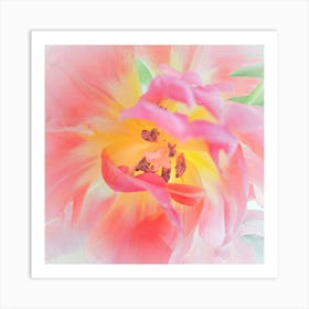Pink Tulip Macro 1 Art Print