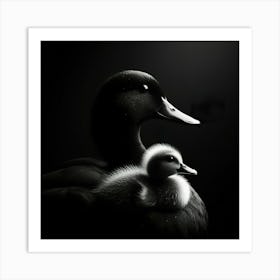 Mother Duck And Baby Duck 1 Art Print