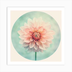 Dahlia 1 Art Print