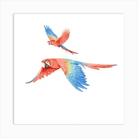 Parrots In Flight Art Print