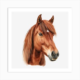 Horse Head Watercolor Illustration Art Print