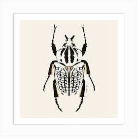 Beetle Black And White Square Art Print