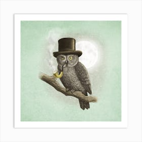 Night Owl Art Print