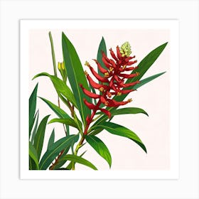 Alpines Purpurate Red Ginger Flower Art Print 1 Art Print