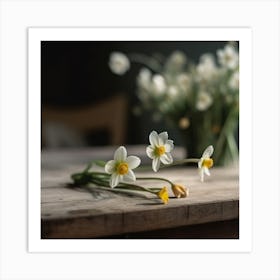 Daffodils Art Print