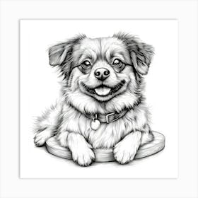 Tibetan Spaniel Art Print