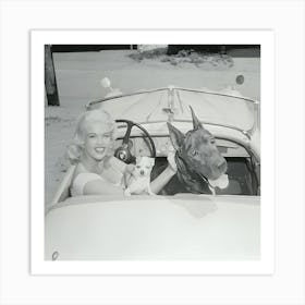 Jayne Mansfield In Car With Her Dogs Art Print