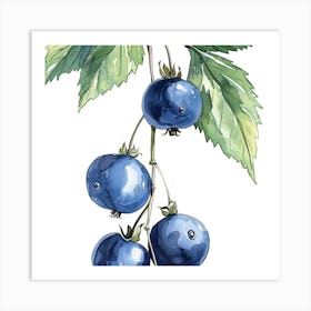 Watercolor Illustration Of Blueberries Art Print