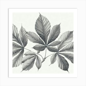 Line Art chestnut leaves Art Print