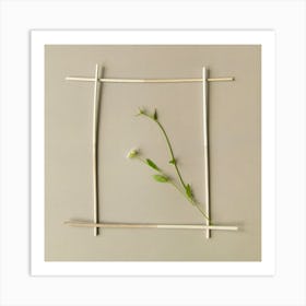 Frame For A Flower Botanical Photography Art Print