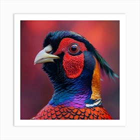 Pheasant 3 Art Print