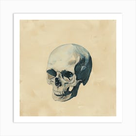 Skull Of A Man Art Print