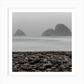 Oregan Coast Art Print