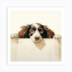 Spaniel Boykin 7 Art Print