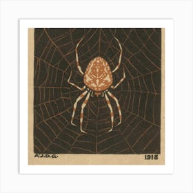 Spider On Web Art Print