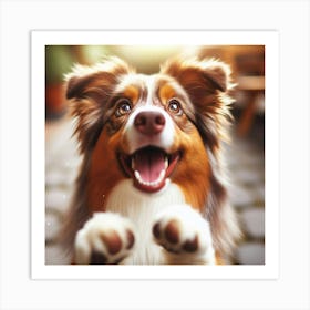 Australian Shepherd Dog 3 Art Print