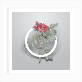 Vintage Kamtschatka Rose Minimalist Floral Geometric Circle on Soft Gray Art Print