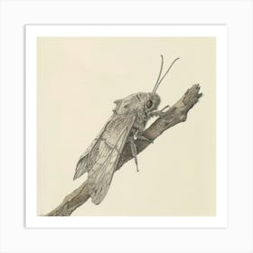 Moth On A Branch Art Print