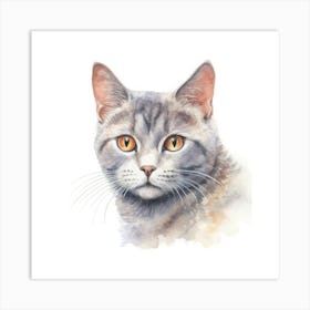 Russian Shorthair Cat Portrait Art Print