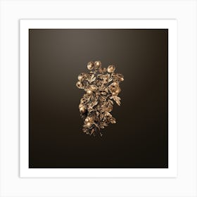 Gold Botanical Sweet Scented Hawthorn on Chocolate Brown n.2994 Art Print
