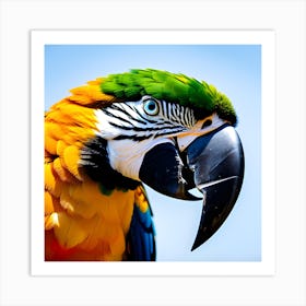 Colorful Parrot 2 Art Print