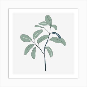 Eucalyptus Art Print