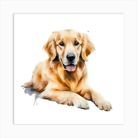 Golden Retriever Watercolor Painting 3 Art Print