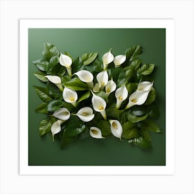 White Calla Lilies On Green Background 2 Art Print