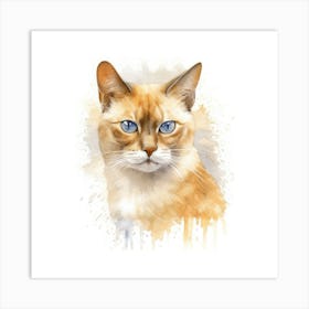 Burmese Champagne Cat Portrait 1 Art Print