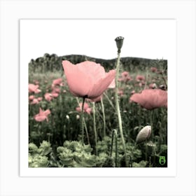 Poppy Field 20180504 16rt1ppub Art Print